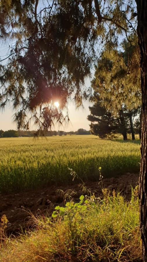 סנטה קתרינה Masseria Vivi Il Salento מראה חיצוני תמונה