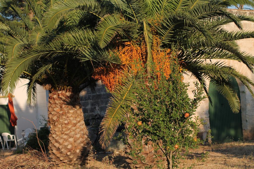 סנטה קתרינה Masseria Vivi Il Salento חדר תמונה