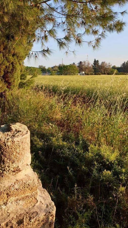 סנטה קתרינה Masseria Vivi Il Salento מראה חיצוני תמונה